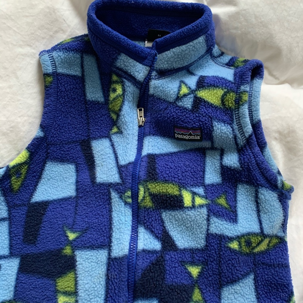 Patagonia Kids Blue and Green Fleece Vest